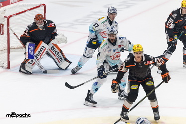 Löwen Frankfurt - Dresdner Eislöwen - 18.9.25 - 044