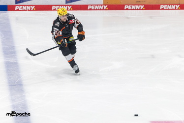 Löwen Frankfurt - Dresdner Eislöwen - 18.9.25 - 046