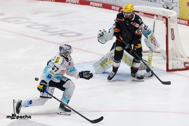 Löwen Frankfurt - Dresdner Eislöwen - 18.9.25 - 047