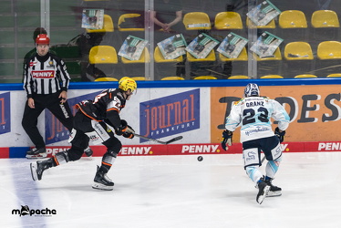 Löwen Frankfurt - Dresdner Eislöwen - 18.9.25 - 048