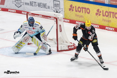 Löwen Frankfurt - Dresdner Eislöwen - 18.9.25 - 049