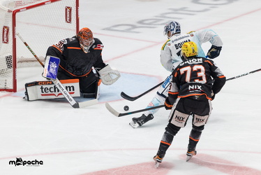 Löwen Frankfurt - Dresdner Eislöwen - 18.9.25 - 052