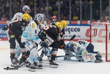 Löwen Frankfurt - Dresdner Eislöwen - 18.9.25 - 058