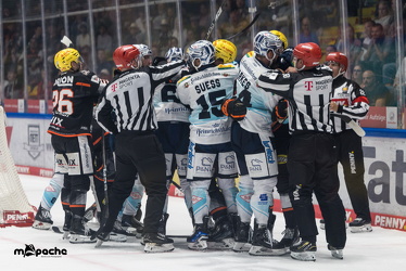 Löwen Frankfurt - Dresdner Eislöwen - 18.9.25 - 059