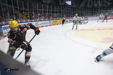 Löwen Frankfurt - Dresdner Eislöwen - 18.9.25 - 062