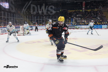 Löwen Frankfurt - Dresdner Eislöwen - 18.9.25 - 063