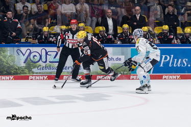 Löwen Frankfurt - Dresdner Eislöwen - 18.9.25 - 064