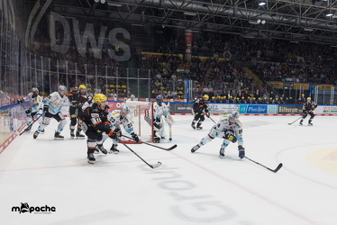 Löwen Frankfurt - Dresdner Eislöwen - 18.9.25 - 073