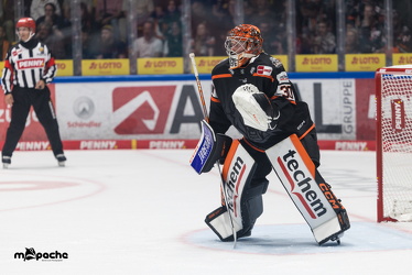 Löwen Frankfurt - Dresdner Eislöwen - 18.9.25 - 076