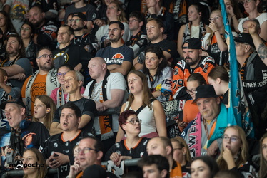 Löwen Frankfurt - Dresdner Eislöwen - 18.9.25 - 077