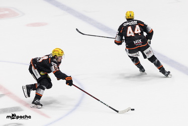 Löwen Frankfurt - Dresdner Eislöwen - 18.9.25 - 083