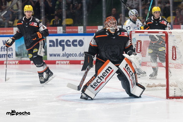 Löwen Frankfurt - Dresdner Eislöwen - 18.9.25 - 089