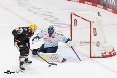 Löwen Frankfurt - Dresdner Eislöwen - 18.9.25 - 092