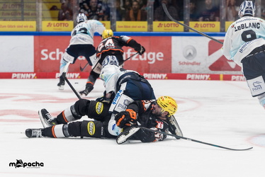 Löwen Frankfurt - Dresdner Eislöwen - 18.9.25 - 094