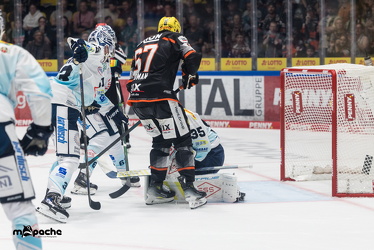 Löwen Frankfurt - Dresdner Eislöwen - 18.9.25 - 098