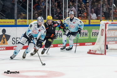 Löwen Frankfurt - Dresdner Eislöwen - 18.9.25 - 104