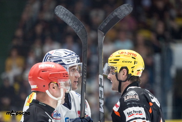 Löwen Frankfurt - Dresdner Eislöwen - 18.9.25 - 105