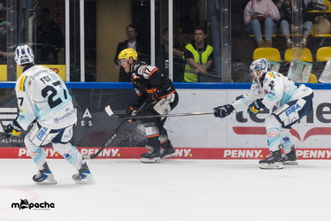 Löwen Frankfurt - Dresdner Eislöwen - 18.9.25 - 106