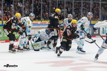 Löwen Frankfurt - Dresdner Eislöwen - 18.9.25 - 107