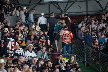 Löwen Frankfurt - Dresdner Eislöwen - 18.9.25 - 108