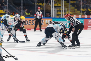 Löwen Frankfurt - Dresdner Eislöwen - 18.9.25 - 111
