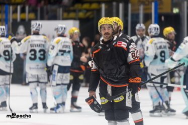 Löwen Frankfurt - Dresdner Eislöwen - 18.9.25 - 115