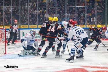 Löwen Frankfurt - Schwenninger Wildwings - 21.9.25 - 018
