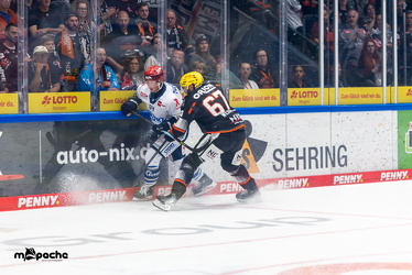 Löwen Frankfurt - Schwenninger Wildwings - 21.9.25 - 021