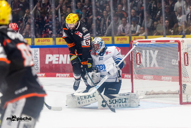 Löwen Frankfurt - Schwenninger Wildwings - 21.9.25 - 027