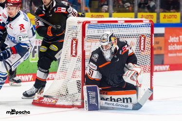 Löwen Frankfurt - Schwenninger Wildwings - 21.9.25 - 061
