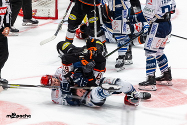Löwen Frankfurt - Schwenninger Wildwings - 21.9.25 - 066