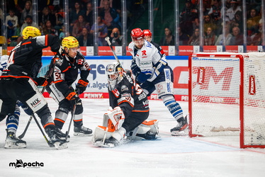Löwen Frankfurt - Schwenninger Wildwings - 21.9.25 - 080