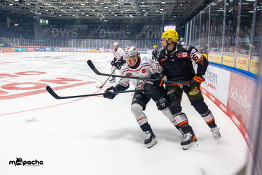 Löwen Frankfurt - Nürnberg Ice Tigers - 26.9.25 - 026