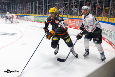 Löwen Frankfurt - Nürnberg Ice Tigers - 26.9.25 - 032