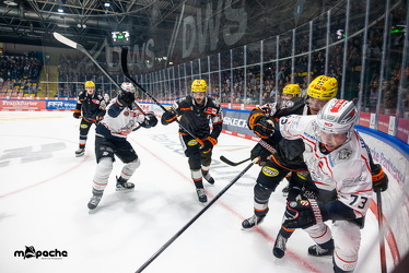 Löwen Frankfurt - Nürnberg Ice Tigers - 26.9.25 - 034