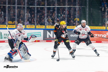 Löwen Frankfurt - Nürnberg Ice Tigers - 26.9.25 - 035