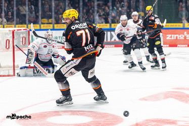 Löwen Frankfurt - Nürnberg Ice Tigers - 26.9.25 - 036