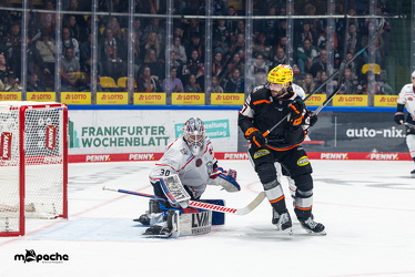 Löwen Frankfurt - Nürnberg Ice Tigers - 26.9.25 - 037