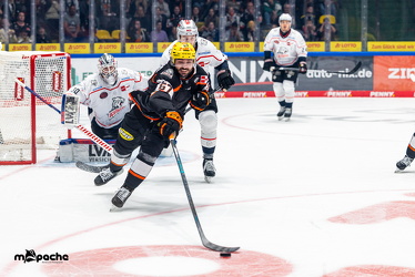 Löwen Frankfurt - Nürnberg Ice Tigers - 26.9.25 - 038