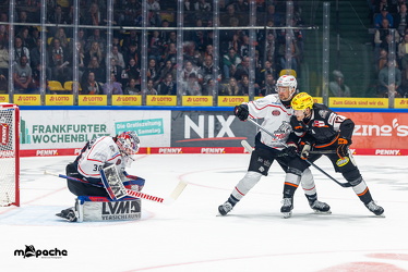 Löwen Frankfurt - Nürnberg Ice Tigers - 26.9.25 - 040