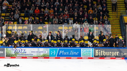 Löwen Frankfurt - Nürnberg Ice Tigers - 26.9.25 - 042