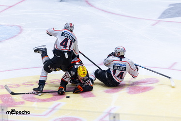 Löwen Frankfurt - Nürnberg Ice Tigers - 26.9.25 - 044