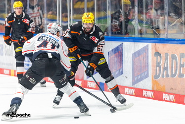 Löwen Frankfurt - Nürnberg Ice Tigers - 26.9.25 - 046
