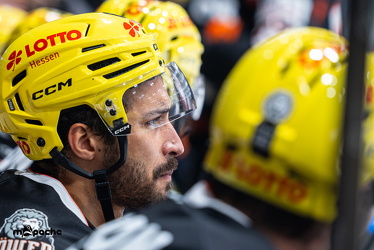 Löwen Frankfurt - Nürnberg Ice Tigers - 26.9.25 - 055