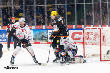 Löwen Frankfurt - Nürnberg Ice Tigers - 26.9.25 - 056