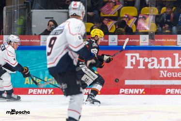 Löwen Frankfurt - Nürnberg Ice Tigers - 26.9.25 - 057