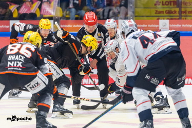 Löwen Frankfurt - Nürnberg Ice Tigers - 26.9.25 - 058