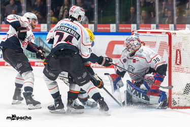 Löwen Frankfurt - Nürnberg Ice Tigers - 26.9.25 - 059