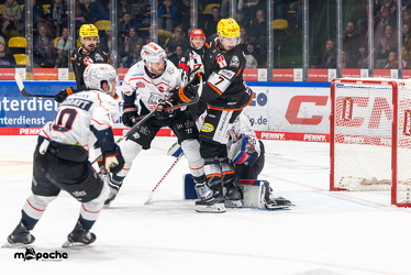 Löwen Frankfurt - Nürnberg Ice Tigers - 26.9.25 - 060