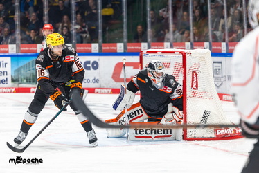 Löwen Frankfurt - Nürnberg Ice Tigers - 26.9.25 - 073